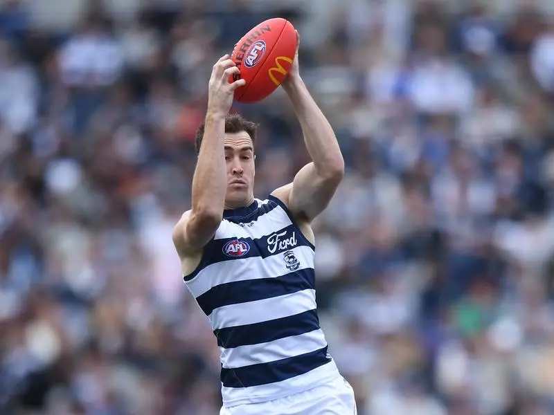 WHO IS  SET TO JOIN THE CATS OFFSEASON ?